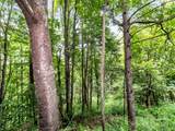 32 Sallywood Trail - Photo 15