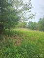 TBD Loggy Hollow Road - Photo 4