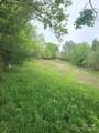 TBD Loggy Hollow Road - Photo 5