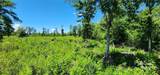 Lot 1 Poors Ford Road - Photo 10