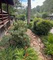 10 Rhododendron Drive - Photo 15