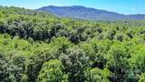 0 Cane Creek Road - Photo 16