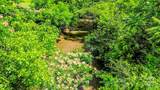 0 Cane Creek Road - Photo 10
