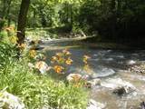TBD Bear River Lodge Road - Photo 3