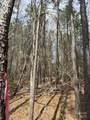 656 Skyline Drive - Photo 11