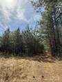 656 Skyline Drive - Photo 3