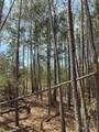 656 Skyline Drive - Photo 25