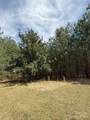 656 Skyline Drive - Photo 8