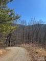 TBD Sorrells Creek Road - Photo 10