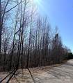 00 Rachel Bell Road - Photo 6