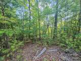 0 Forest Country Drive - Photo 5