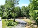 1915 Catawba Falls Parkway - Photo 9