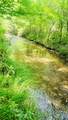 5595 Meadow Fork Road - Photo 5