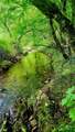5595 Meadow Fork Road - Photo 6
