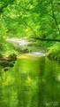5595 Meadow Fork Road - Photo 7