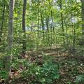 99999 Campground Road - Photo 2