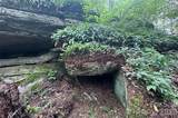 000 Laurel Ledge Way - Photo 12