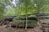 000 Laurel Ledge Way - Photo 13