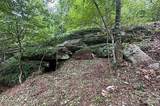 000 Laurel Ledge Way - Photo 14