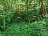 0 Chestnut Lane - Photo 9