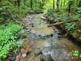 99999 Old Yellow Mountain Road - Photo 1