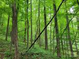 99999 Old Yellow Mountain Road - Photo 15