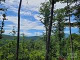 99999 Old Yellow Mountain Road - Photo 3
