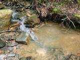 99999 Old Yellow Mountain Road - Photo 29
