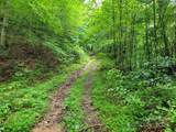 99999 Old Yellow Mountain Road - Photo 4