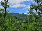 99999 Old Yellow Mountain Road - Photo 31