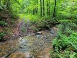 99999 Old Yellow Mountain Road - Photo 35