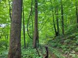 99999 Old Yellow Mountain Road - Photo 37