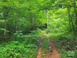 99999 Old Yellow Mountain Road - Photo 38