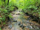 99999 Old Yellow Mountain Road - Photo 40