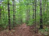 99999 Old Yellow Mountain Road - Photo 41