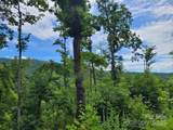 99999 Old Yellow Mountain Road - Photo 43