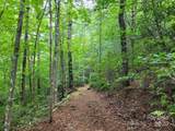 99999 Old Yellow Mountain Road - Photo 44