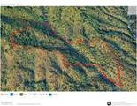 99999 Old Yellow Mountain Road - Photo 45