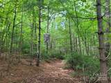 99999 Old Yellow Mountain Road - Photo 7