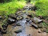 99999 Old Yellow Mountain Road - Photo 10