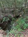 430 Moss Trail - Photo 7