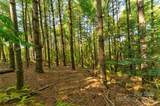 77 Whispering Pines Trail - Photo 11