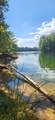 77 Whispering Pines Trail - Photo 16