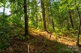 77 Whispering Pines Trail - Photo 9