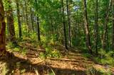 77 Whispering Pines Trail - Photo 10