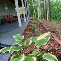 3645 Lake Bluff Drive - Photo 23