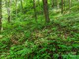 00 Old Sawmill Road - Photo 2