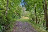 0000 Plott Balsam Road - Photo 3