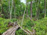 Lot 45 Ridgecrest Drive - Photo 6