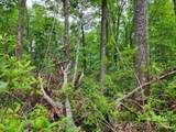 Lot 45 Ridgecrest Drive - Photo 8